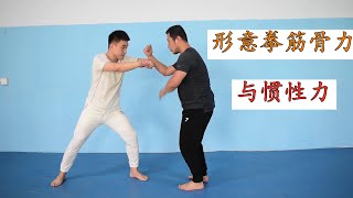 内家拳发力误区，惯性力与筋骨力千差万别，形意拳0距离发力（Xingyi Quan）