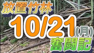 放置竹林奮闘記【サラリーマンが竹を切る日々】2024/10/21