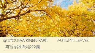 国営昭和記念公園編 ＃showakinenpark【〜NAOBASS TAKE A WALK〜】