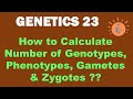 Smartest Way to Calculate Number of Genotypes, Gametes, Phenotypes, Zygotes | Dr Ghanshyam Jangid