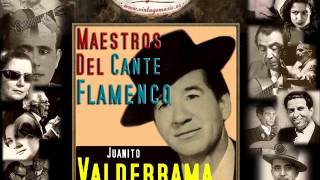 Juanito Valderrama - Mi María Jesús (Bulerías) (Flamenco Masters)