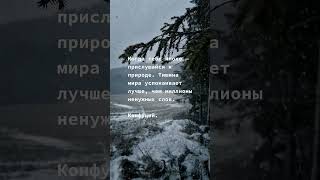 Когда тебе плохо — прислушайся к природе. Тишина мира успокаивает лучше, чем миллионы ненужных слов.