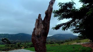 നന്തി ഹിൽസ് അടച്ചു പൂട്ടി ഗയ്‌സ്  | Tiny Tales | VLOG 001 | Nandi Hills Malayalam Vlog | 4K