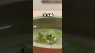 蛙弟在澡盆扁掉了🐸