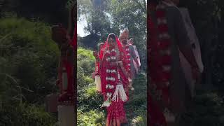 Traditional Himachali Wedding♥️ #wedding #himachal #traditional