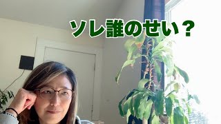 [因果の法則] 実感した。自分で蒔いた種は自分で処理しろ。離婚したかったのは自分なのに、相手に言わせた結果