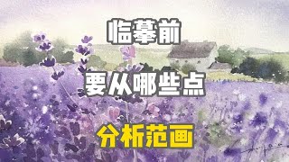 水彩干货教程 | 薰衣草的前景后景和对比色