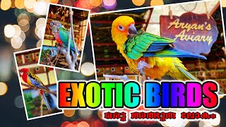 EXOTIC BIRDS I പക്ഷികളുടെ അത്ഭുത ലോകം