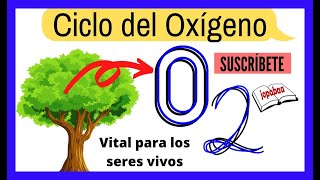 👉 CICLO OXIGENO: oxidación, combustión, combustible, Comburente.👌.Ciclos @Jopabaa