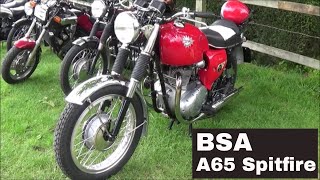 BSA A65 Spitfire MKII Special