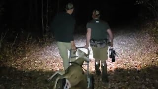 My First PUBLIC LAND Buck!! 2024 Northern WI Bow hunting