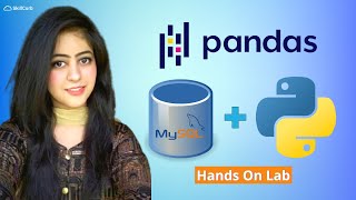 SQL Databases with Pandas and Python - Beginners Guide [MySQL]