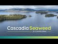 About Cascadia Seaweed