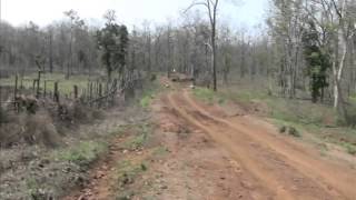 Melghat Tiger Project Road \u0026 Agriculture of Tribal Korku of India