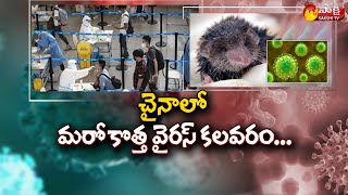 Virus From Animals to Humans in China | New Langya Virus Update | Sakshi TV