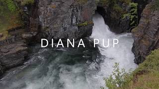 Diana Pup - Tu Ești adăpost |Official Lyric Video|