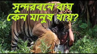 সুন্দরবনে বাঘ কেন মানুষ খায়?  সুন্দরবন জীবন। Sunadarbon