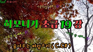 Feel 하모니카강의 : 하모니카배우기 -  Harmonica lecture - Tremolo harmonica - 숨어우는바람소리 - 숫자악보첨부