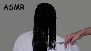 ASMR - HIDRATANDO E CORTANDO UM CABELO REAL