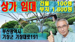 겔러리,전시장,카페,상가임대/건물100평,부지1800평 이상/부산 기장군