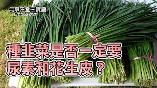 種韭菜是否一定要尿素和花生皮？