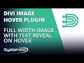 Divi Theme Image Hover Plugin Full Width Image With Text Reveal On Hover 👈
