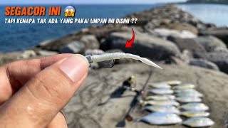 ASLI GACOR !! Ikannya Datang Nyerbu Setelah Saya Pakai Umpan Ini