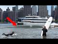 The BEST New York City Ferry Wave I've Ever Seen