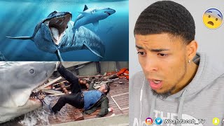 THE SCARIEST SEA MONSTERS ALIVE TODAY! (REACTION)