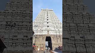 Tiruvannamalai || Arunachalam || Temple view || திருவண்ணாமலை || அருணாச்சலம்