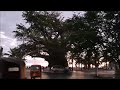 Le Vieux Baobab - Mahajanga (Timelapse 23/06/2024).