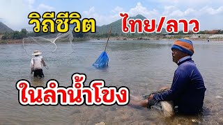 วิถีชีวิตไทย/ลาว แก่งคุดคู้ ในลำน้ำโขง เชียงคาน