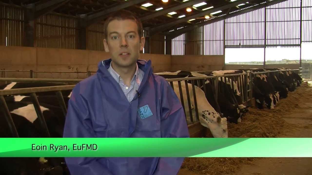 An Introduction To Eufmd Real Time Training Youtube
