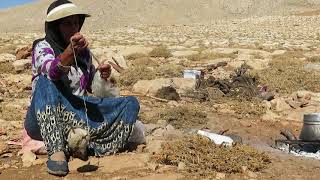 Zagros Mountains Qashqai Nomads