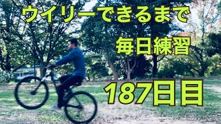 ウイリーできるまで毎日練習187日目【MTB ウイリー編】