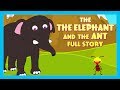 THE ELEPHANT AND THE ANT FULL STORY |  ENGLISH ANIMATED STORIES FOR KIDS | TRADITIONAL STORY