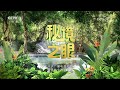 《秘境之眼》 黄喉貂 20250122 cctv