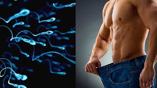 Naturally increase your Testosterone / Sperm Count
