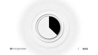 30 MINUTE minimalist countdown timer