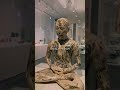 brooklyn museum nyc brooklyn nycvlog vlog date art artwork artist travel travelvlog viral