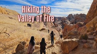 VALLEY OF FIRE Hike, near LAS VEGAS | Desert Landscape in Nevada🚶‍♂️#lasvegas #hiking #desertlife