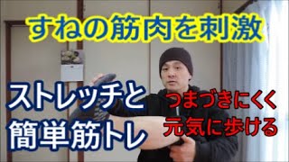 【簡単筋トレ】つま先上げ下げで脛の筋肉をつけるとより効果的に歩けるようになる【健康とダイエット】