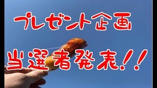 【プレゼント企画】当選者発表！！誰が手に入れたかな？？