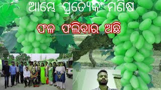 ପ୍ରତ୍ୟେକ ମଣିଷ ଆଜି ଜାଗ୍ରତ ହୋଇ  ଫଳ ଫଲିବା ଆବଶ୍ୟକ.#SUSAMACHAR.Tv#