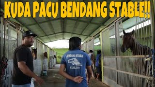 KUDA PACU TOP INDONESIA MILIK BENDANG STABLE SULUT RESMI PULANG KAMPUNG TIDAK MENGIKUTI PON DI ACEH