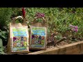 The Garden Gurus - Plant Deal of the Week Spring Bulbs