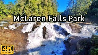 McLaren Falls Park in Tauranga New Zealand - Ultra 4k