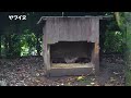 【横浜ズーラシア動物園】動物好きの動物園巡り（閲覧注意 興奮によりカメラワークに問題あります）