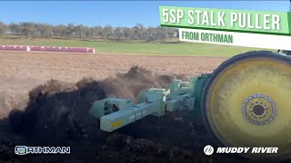 5 SP Orthman Stalk Puller in Australian Cotton