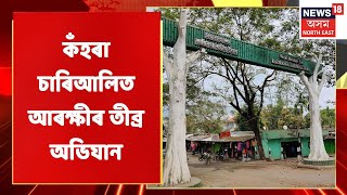 Kaziranga News | কাজিৰঙাত সুৰামত্ত চালকৰ বিৰুদ্ধে তৎপৰ আৰক্ষী প্ৰশাসন